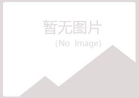 湟中县山柏化学有限公司